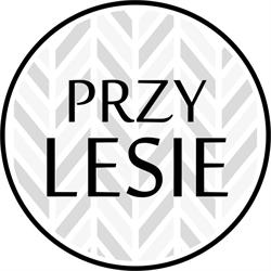 Restauracja Przy Lesie - imprezy okolicznościowe, Trzcinica godziny otwarcia