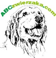 ABCzwierzaka.com, Ostrowiec Świętokrzyski godziny otwarcia