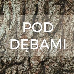 Pod Dębami - pokoje na Mazurach, Wydminy godziny otwarcia