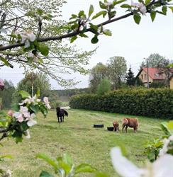 Agroturystyka Pod Pstrągiem, Luboń godziny otwarcia