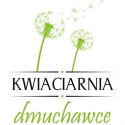 Kwiaciarnia dmuchawce, Płock godziny otwarcia