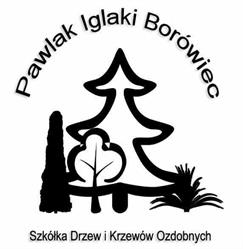Pawlak Iglaki Borówiec, godziny otwarcia