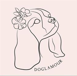 Doglamour Salon Strzyżenia Psów, Kraków godziny otwarcia