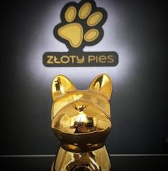 Psi Fryzjer - Złoty Pies - Salon pielęgnacji psów, Toruń - godziny otwarcia