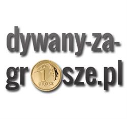 dywanyzagrosze.pl, Opole Lubelskie godziny otwarcia