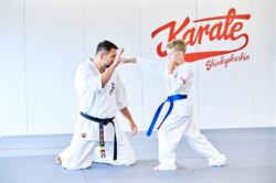 IPPON DOJO, Konstancin-Jeziorna godziny otwarcia