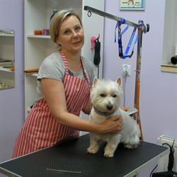 Pieskowo - Salon Fryzjerski Dla Psów, Bielsko-Biała godziny otwarcia