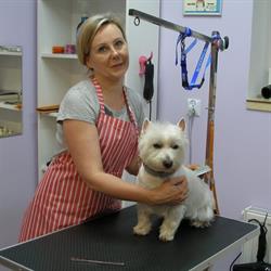 Pieskowo - Salon Fryzjerski Dla Psów, Bielsko-Biała godziny otwarcia