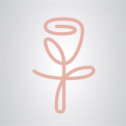 ROSE GOLD Studio Urody, Bielsko-Biała godziny otwarcia