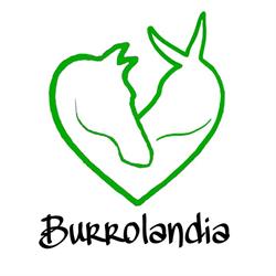 Burrolandia, Sosnowiec godziny otwarcia