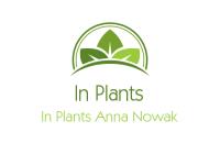 In Plants, Jawornik godziny otwarcia