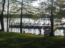 Port Trygort, Węgorzewo godziny otwarcia