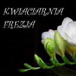 Kwiaciarnia Frezja Poniec, godziny otwarcia