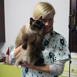 Misiakvet Justyna Misiak Gabinet Weterynaryjny, Brzeziny godziny otwarcia