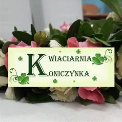 Kwiaciarnia Koniczynka, Dębica godziny otwarcia