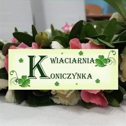 Kwiaciarnia Koniczynka, Dębica godziny otwarcia