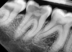 Dentidiag Ostrowskiego, Wrocław godziny otwarcia