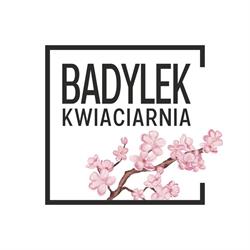 Kwiaciarnia Badylek, Wielichowo godziny otwarcia