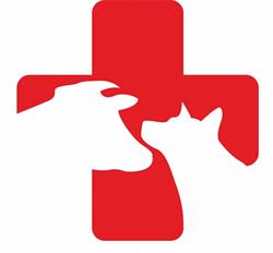 Centrum zdrowia i rozrodu zwierząt Marcin Gocek, Żuromin godziny otwarcia