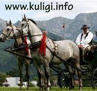 Kuligi.info, Zakopane godziny otwarcia