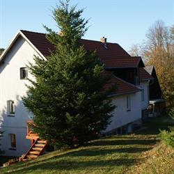 Agroturystyka Maczek, Stara Kamienica godziny otwarcia