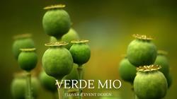 Verde Mio Pracownia Florystyczna, Nieporęt godziny otwarcia