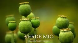 Verde Mio Pracownia Florystyczna, Nieporęt godziny otwarcia