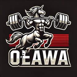 Siłownia OSTAP Team - Power Fitness, Oława godziny otwarcia
