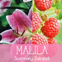 Malila, Brenno godziny otwarcia