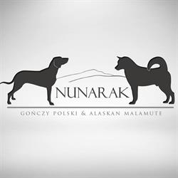 Nunarak - hodowla psów rasy Gończy Polski i Alaskan Malamute, Jordanów godziny otwarcia