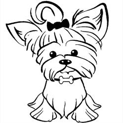 Psi Fryzjer Glamour Dogs, Gdańsk godziny otwarcia