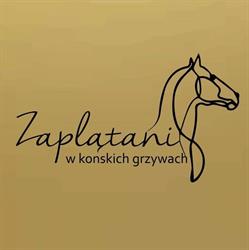 Zaplątani w Końskich Grzywach, Świecie godziny otwarcia