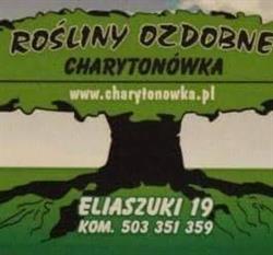 Charytonówka, Narewka godziny otwarcia