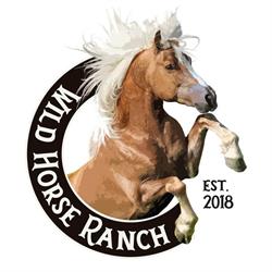 Wild Horse Ranch, Wieszowa godziny otwarcia
