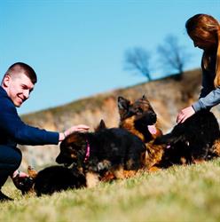 Hodowla Owczarków Niemieckich Długowłosych Hond-Horand, Górno godziny otwarcia
