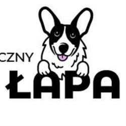 PSIA ŁAPA Sklep Zoologiczny Tarnów, godziny otwarcia