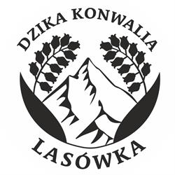 Dzika Konwalia - Przytulne domki blisko stoków Noclegi w górach - Lasówka Zieleniec, godziny otwarcia