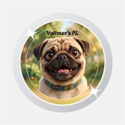 Vollmer's, Gdynia godziny otwarcia