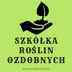 Szkółka roślin ozdobnych Nowogrodziec, godziny otwarcia