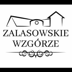 Zalasowskie Wzgórze, Zalasowa godziny otwarcia