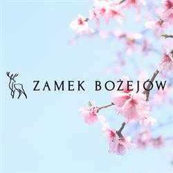 Zamek Bożejów, Radomierowice godziny otwarcia