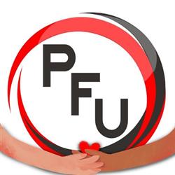 PFU Pośrednictwo Finansowo Ubezpieczeniowe, Toruń godziny otwarcia