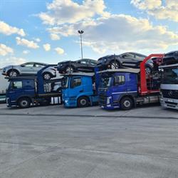 AmeCar Auto Transport USA- Bremerhaven -Polska, Puławy godziny otwarcia