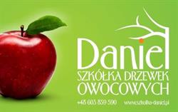 Szkółka Drzewek Owocowych DANIEL, Joanna Babka, Czarna godziny otwarcia