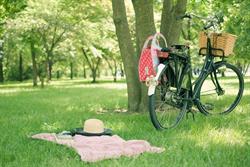 Centrum Rowerowe, Tuchola godziny otwarcia