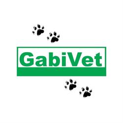 GabiVet, Sośnicowice godziny otwarcia