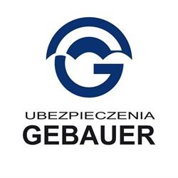 Gebauer H. Pośrednictwo Ubezpieczeniowe, Miedziana godziny otwarcia