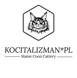 KociTalizman*PL, Szczekociny godziny otwarcia