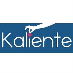 Pracownia Kaliente - pracownia ceramiki i nie tylko. Kalina Gromek-Gałecka, Warszawa godziny otwarcia