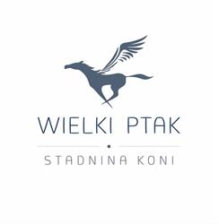 WIELKI PTAK, Kleszczów godziny otwarcia